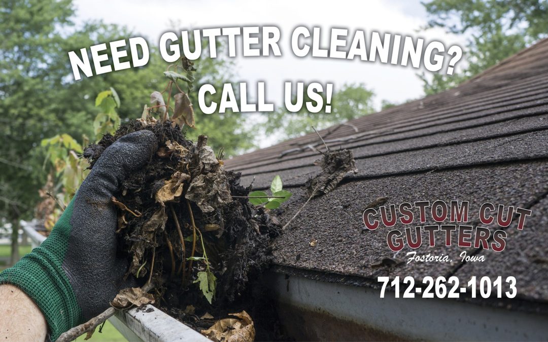gutter cleaning