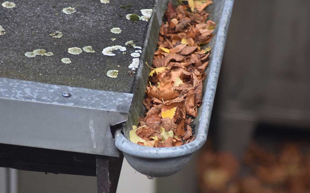 Can a Clogged Gutter Cause a Roof Leak?
